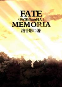 FATE/MemoriaFATEͬˣ